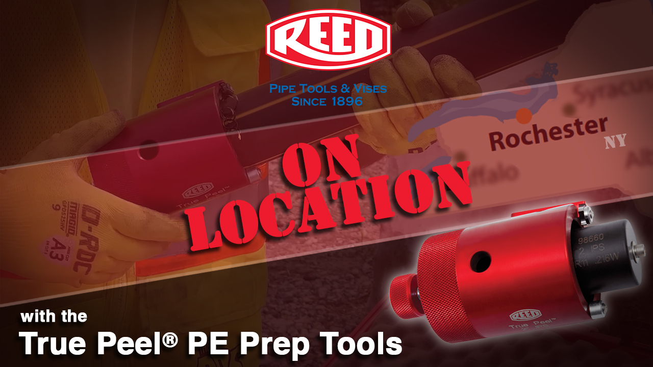 True Peel® on Location in Rochester